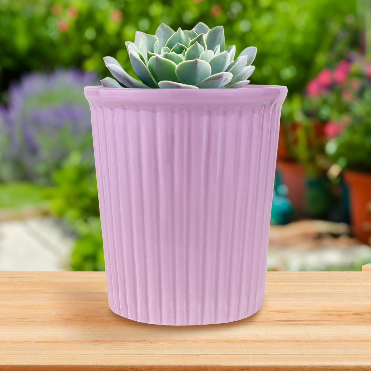 Maceta de Cerámica, Color Lila, 13x12 cm