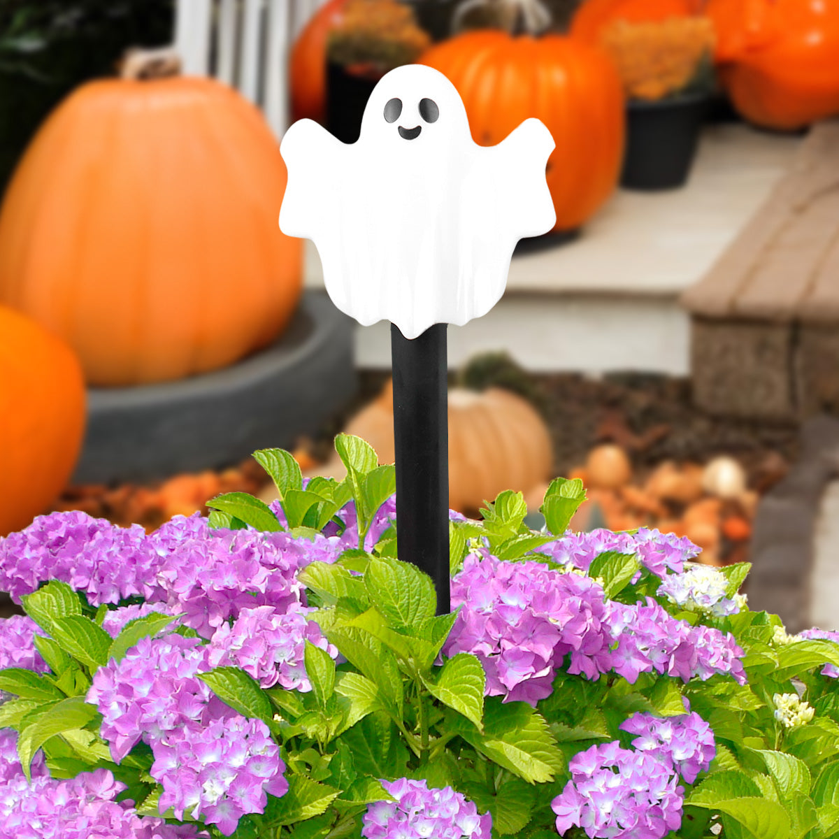 Fantasma, Estaca Solar