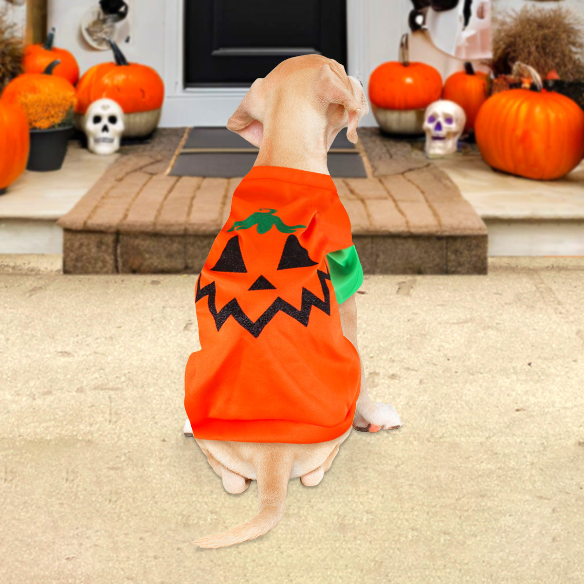Disfraz con Diseño de Calabaza para Mascota, Talla G