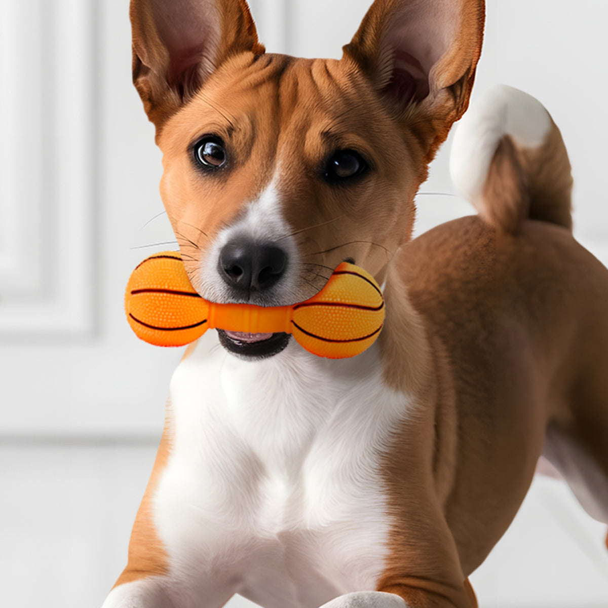 Juguete Chillón para Perro, Color Naranja