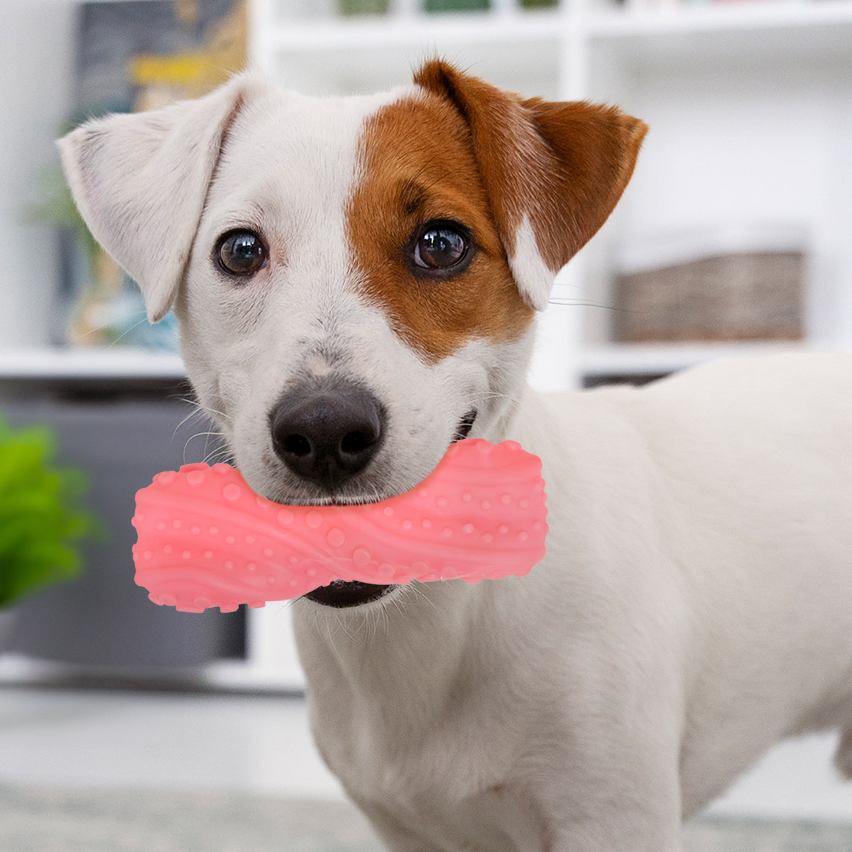 Juguete Chillón para Perro, Texturizado, Color Salmón
