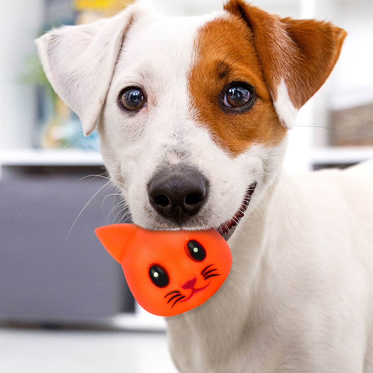 Juguete en Forma de Gatito color Naranja para Mascota