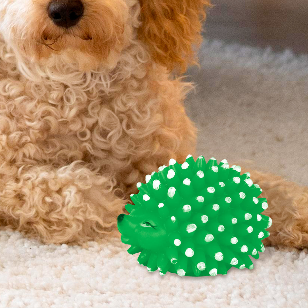 Juguete en Forma de Puercoespín color Verde para Mascota