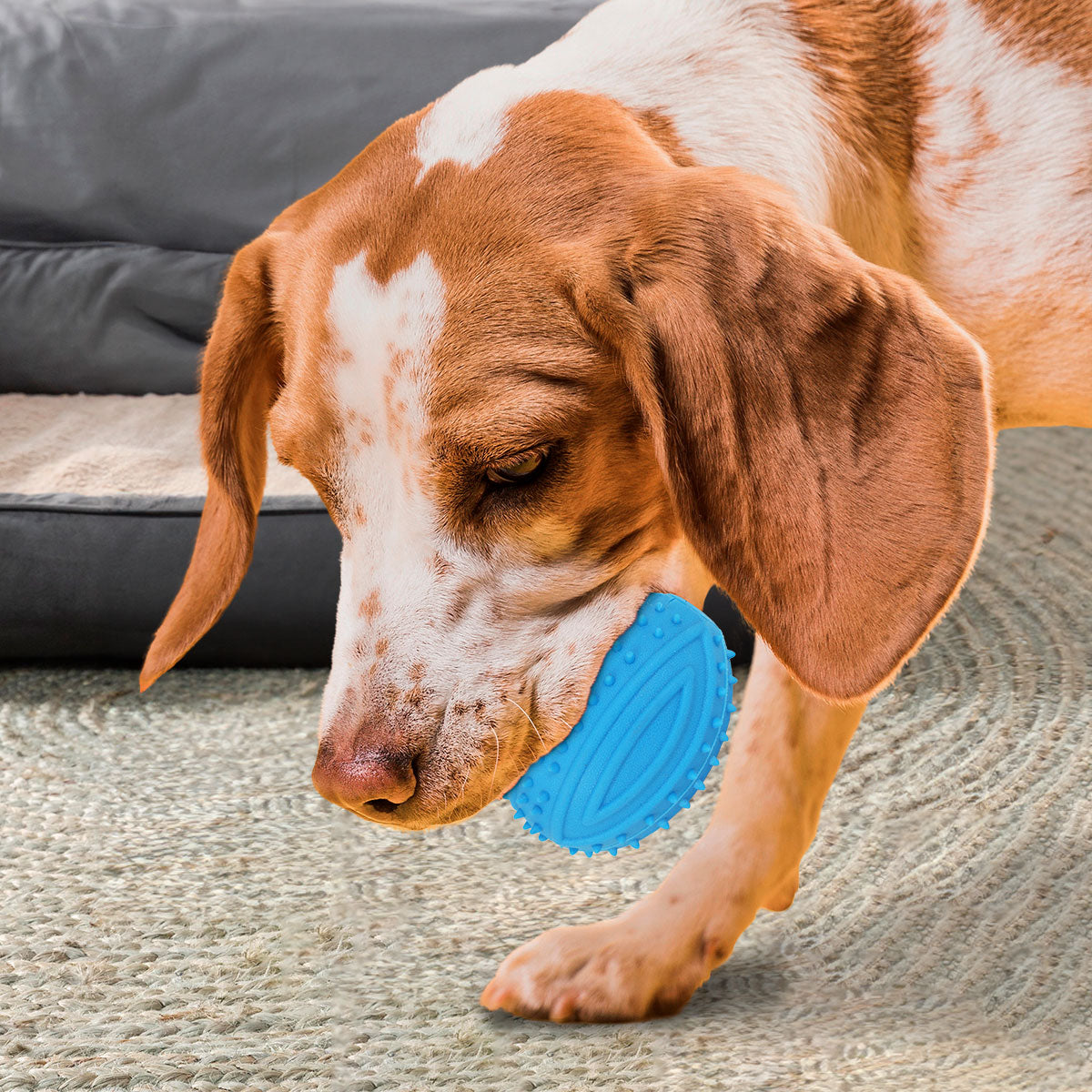 Juguete con Dispensador de Premios para Mascota