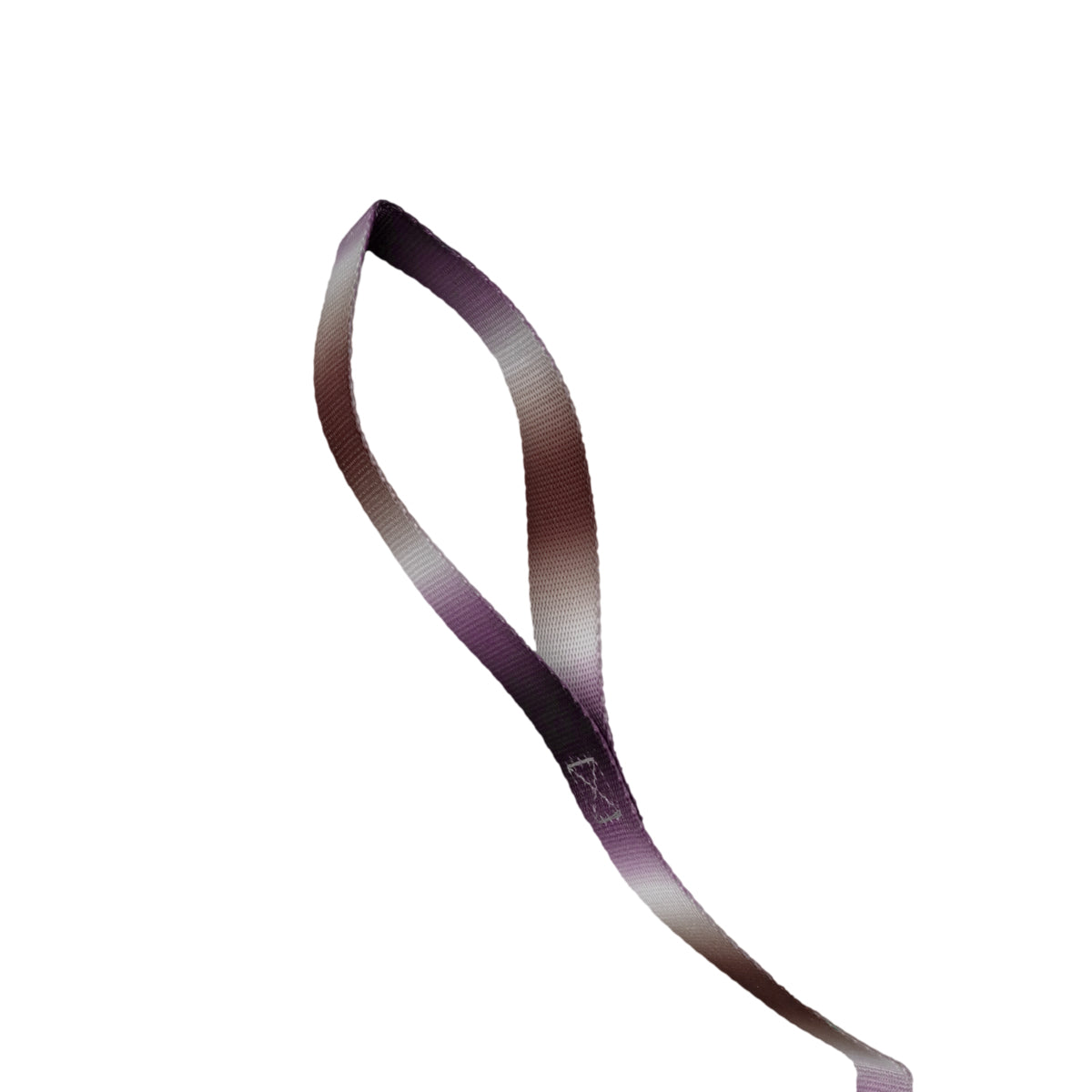 Correa color Azul con Café para Perro, 120cm