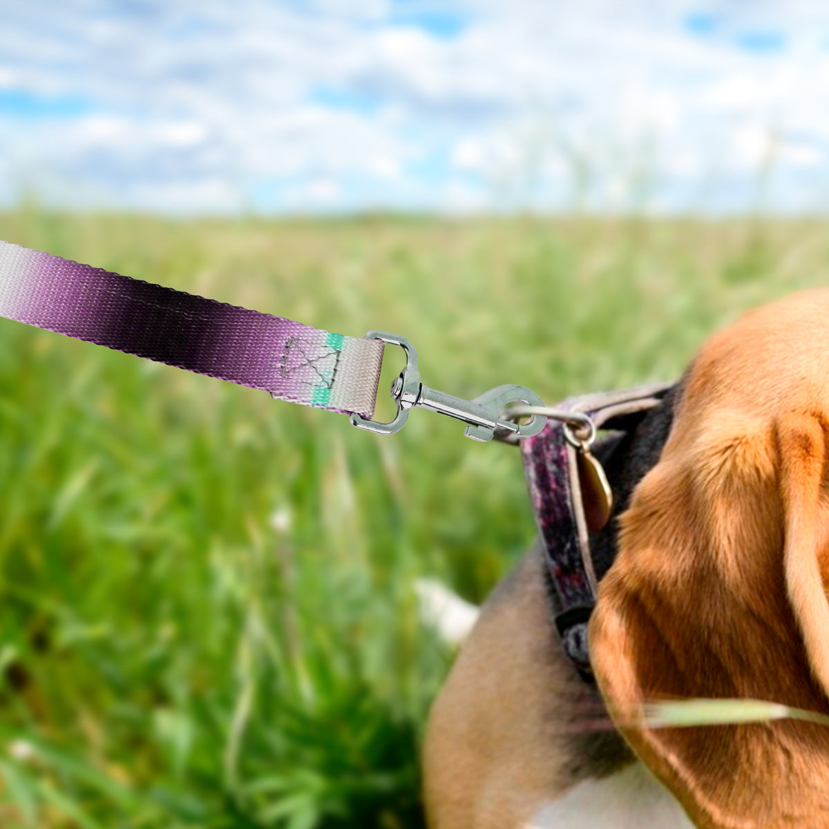 Correa color Azul con Café para Perro, 120cm