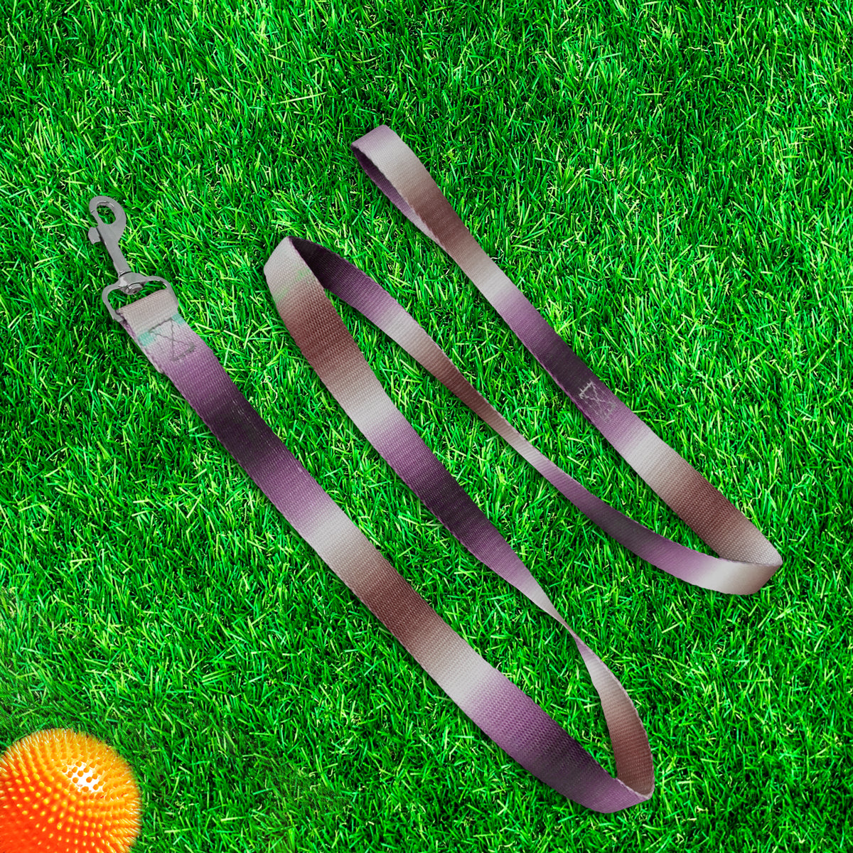 Correa color Azul con Café para Perro, 120cm