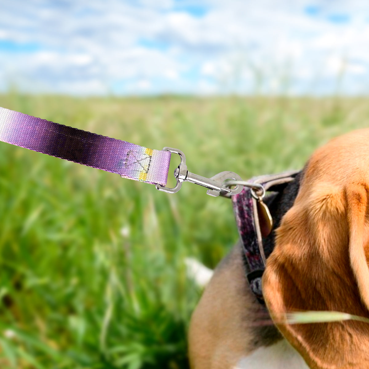 Correa color Azul con Rosa para Perro, 120cm