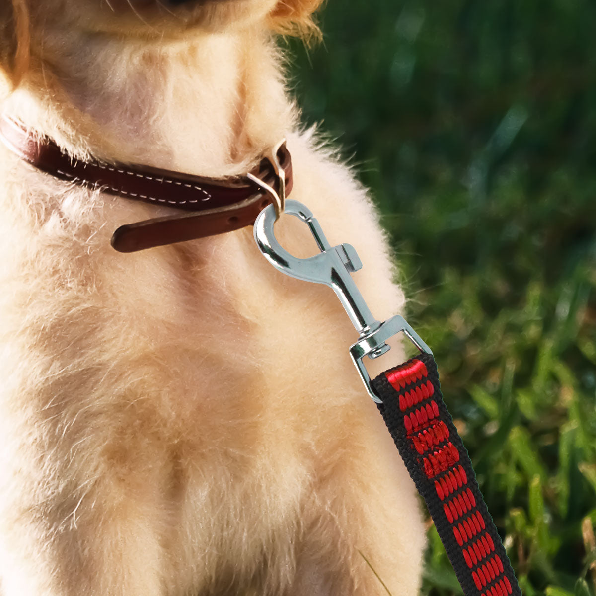 Correa color Rojo para Perro, 130cm