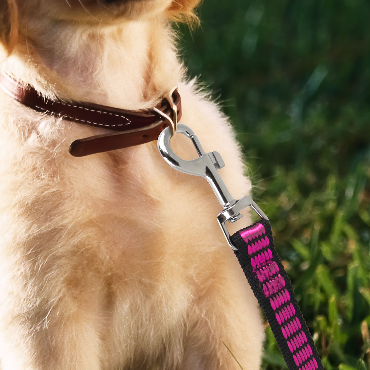 Correa color Rosa para Perro, 130cm