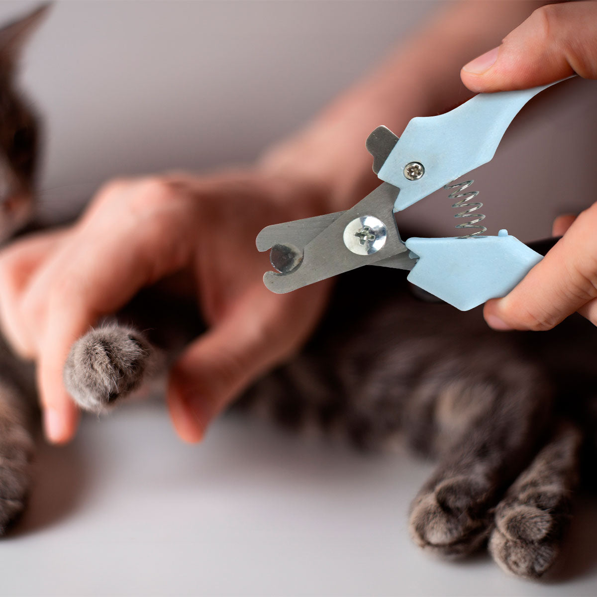 Cortaúñas color Azul para Mascotas, Amazin Pet