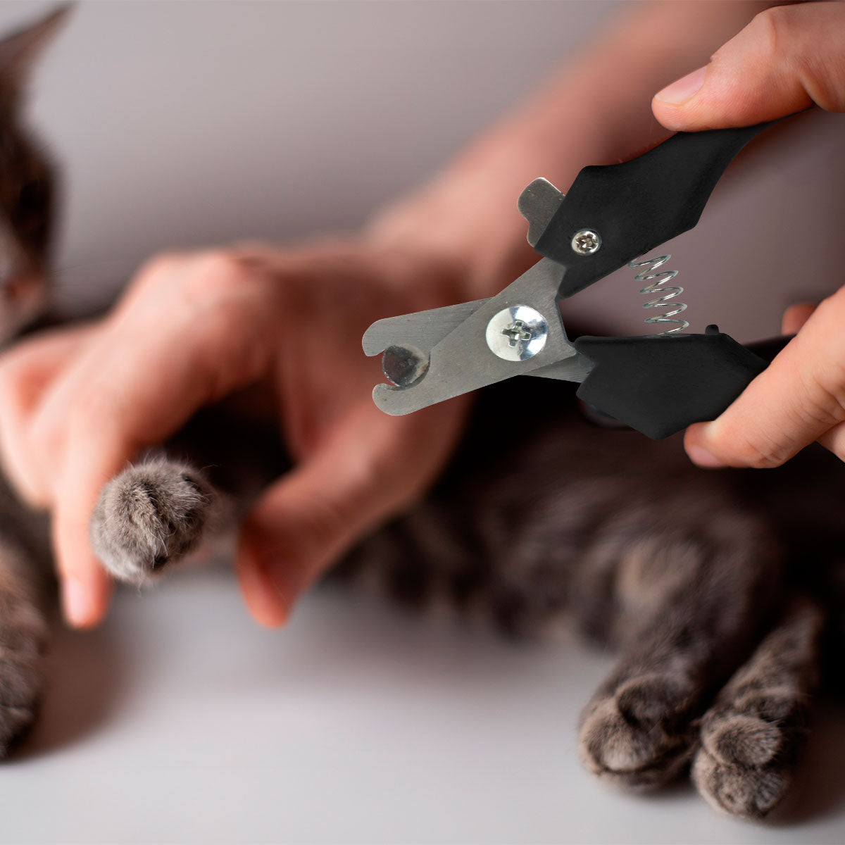 Cortaúñas color Negro para Mascotas, Amazin Pet