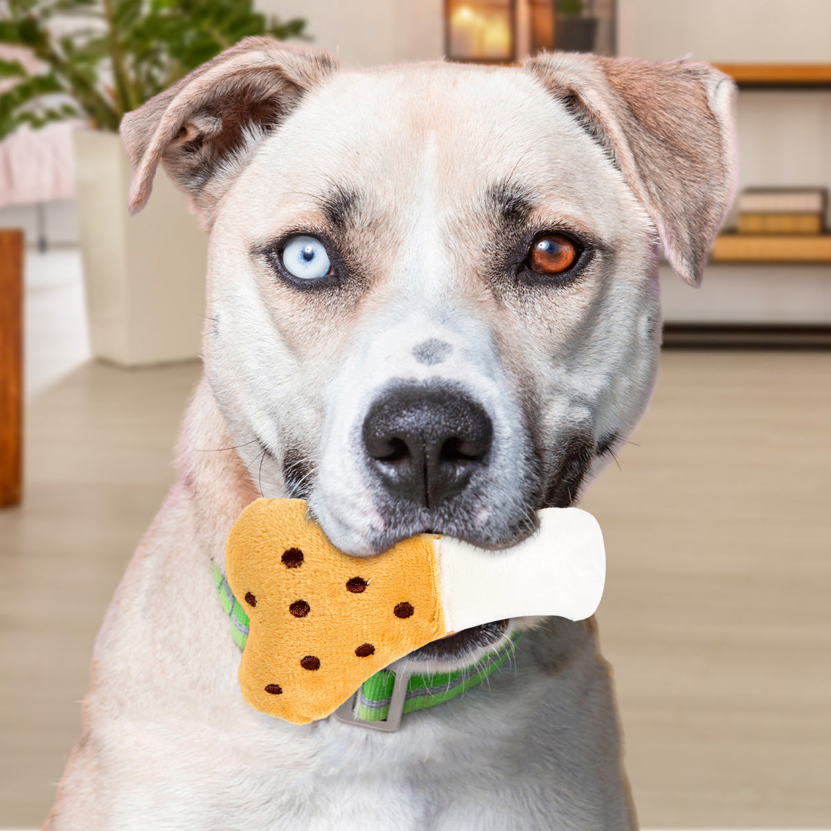 Juguete Chirriante en Forma de Pata de Pollo