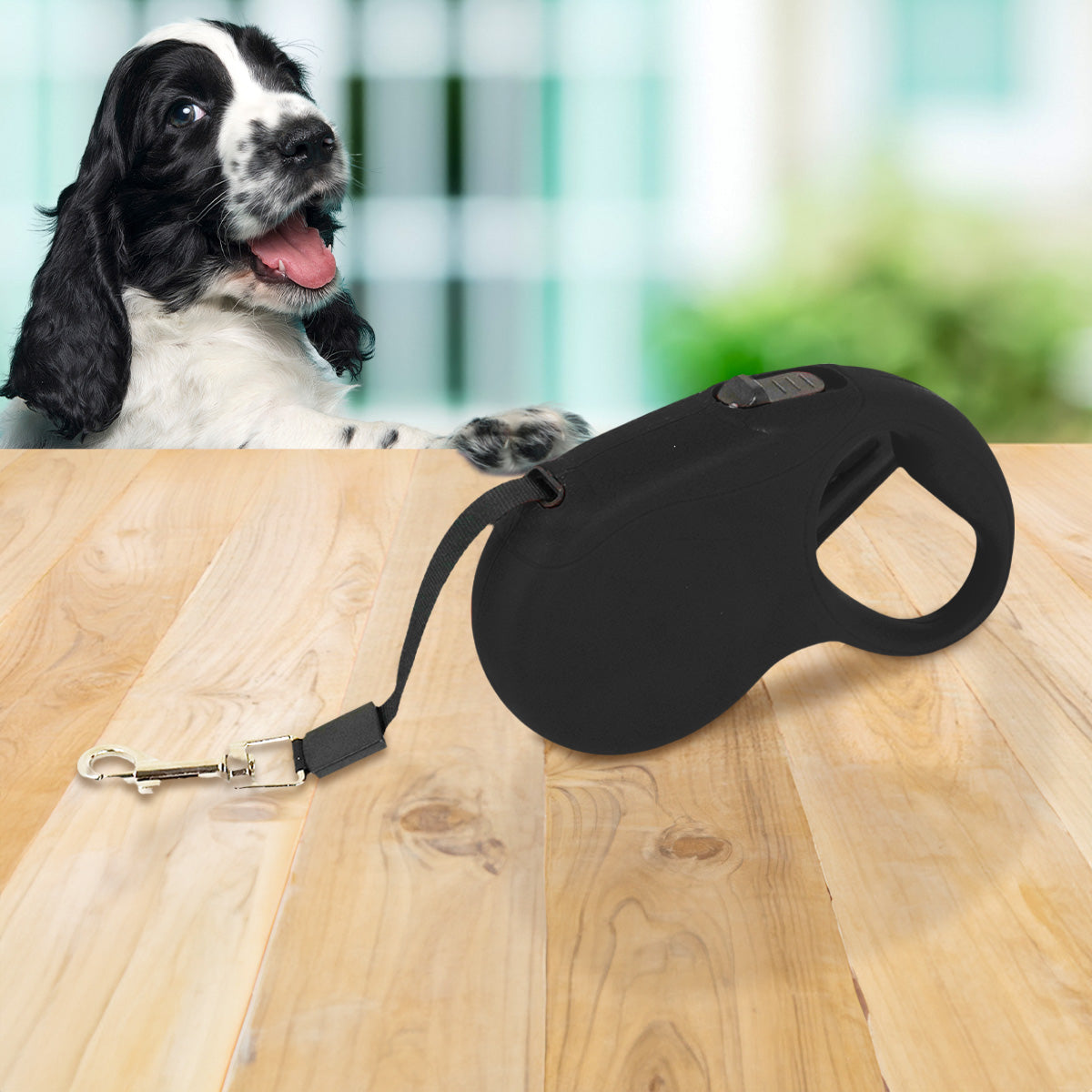 Correa Retráctil para Perro, color Negro