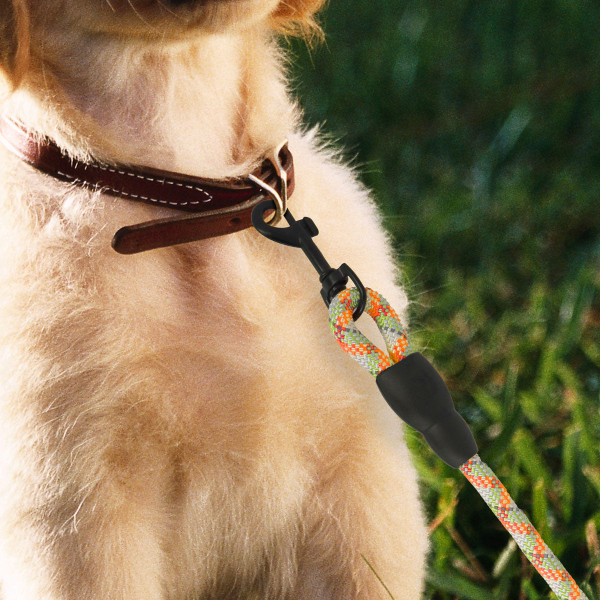 Correa Premium color Naranja con Verde para Perro