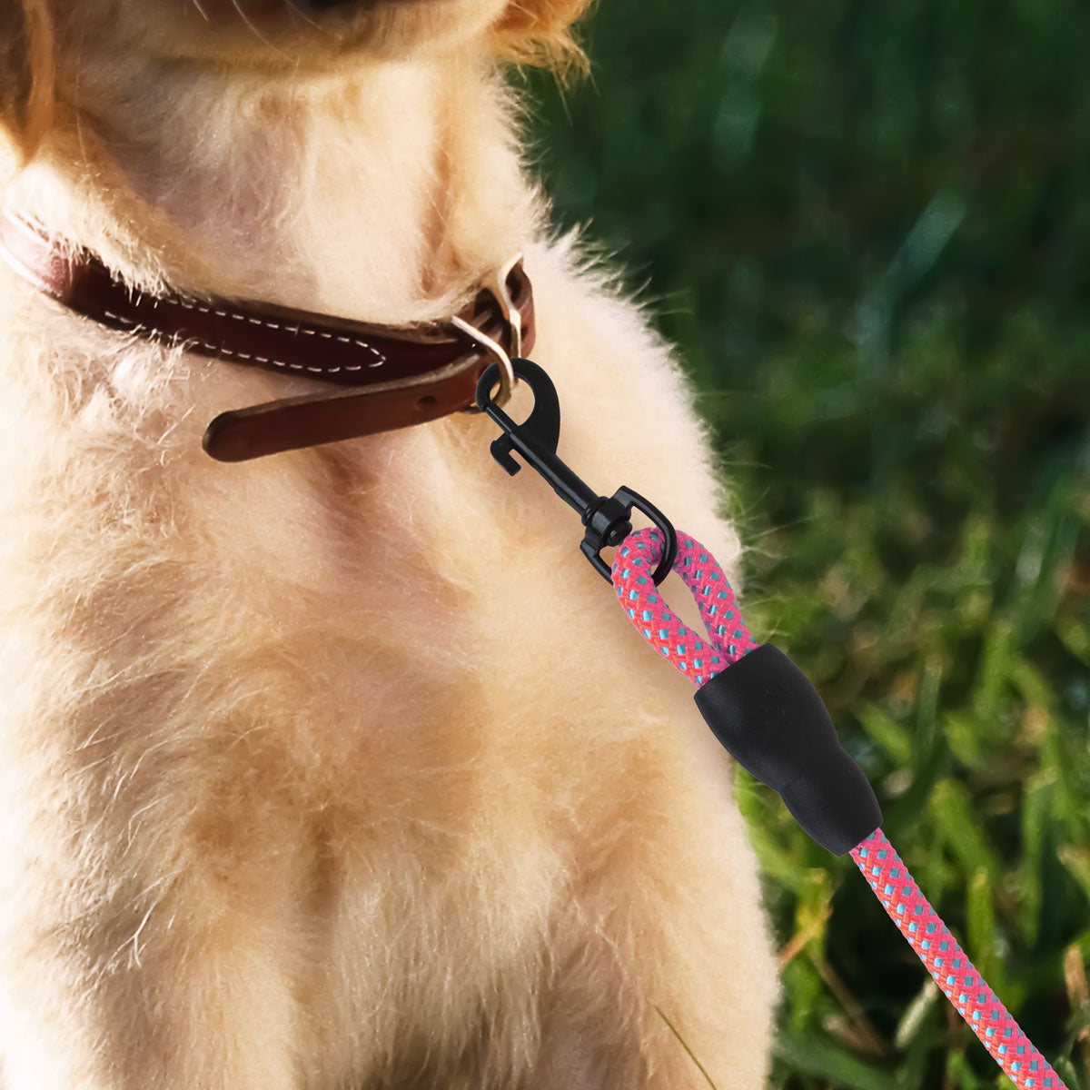 Correa Premium color Rosa para Perro