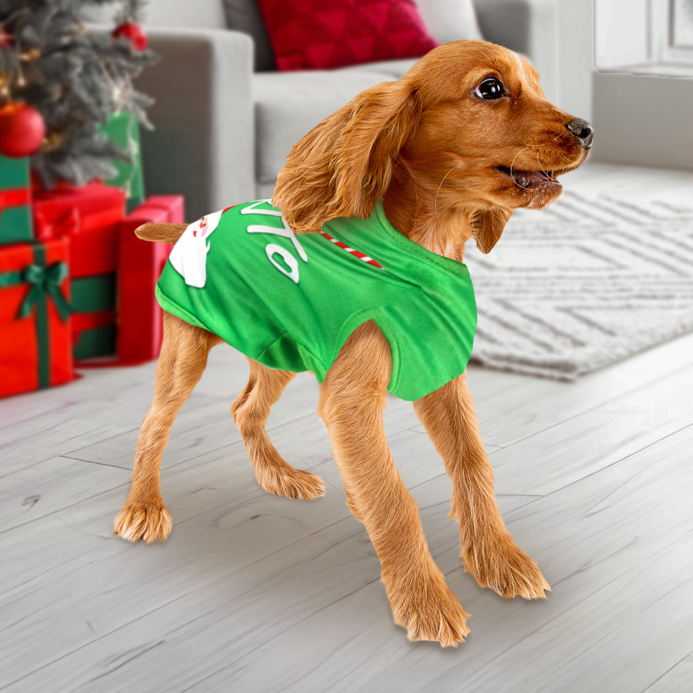 Playera Navideña color Verde para Perro, "El Favorito de Santa"