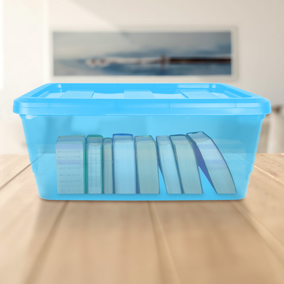 Caja de Plástico con Tapa, Color Azul