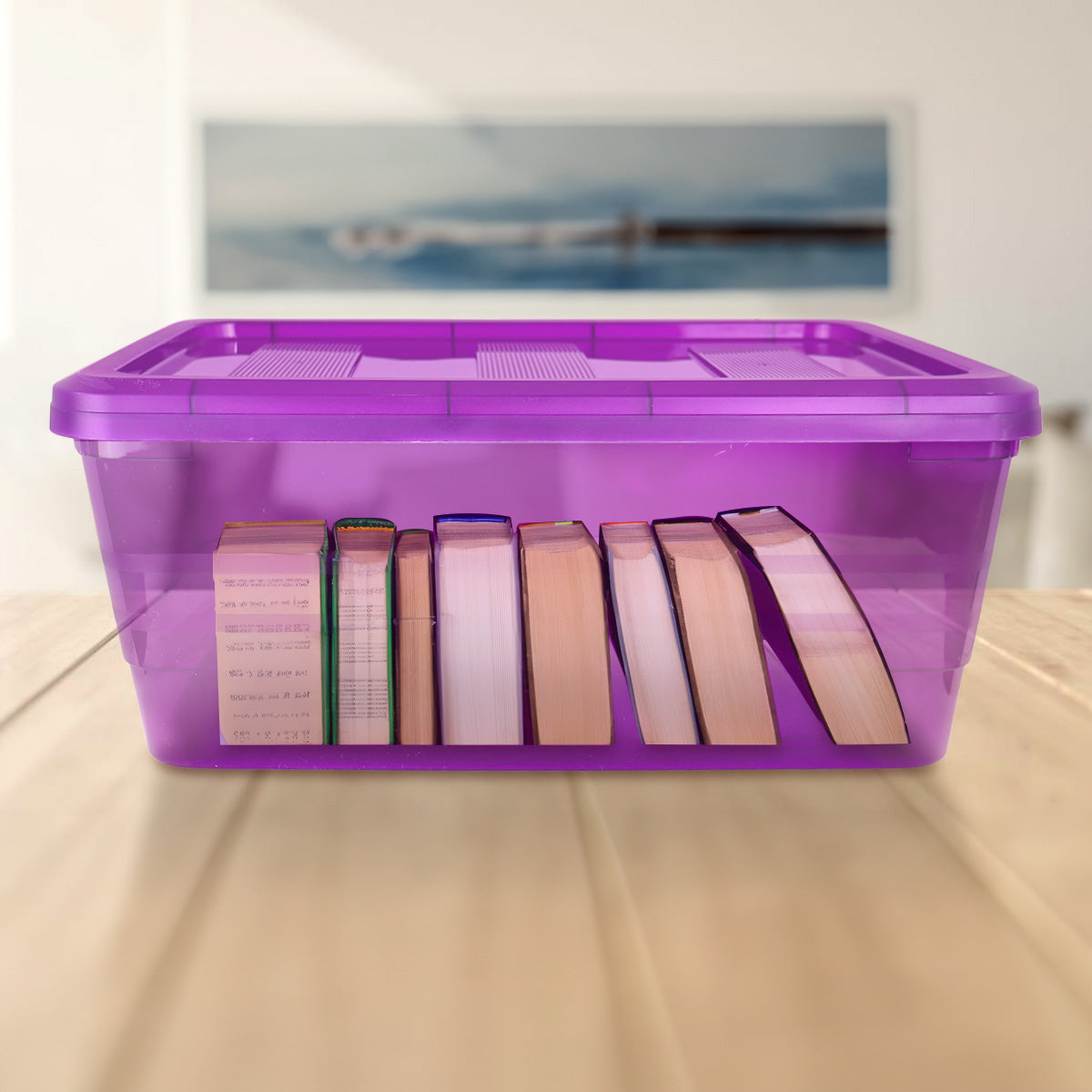 Caja de Plástico con Tapa, Color Morado