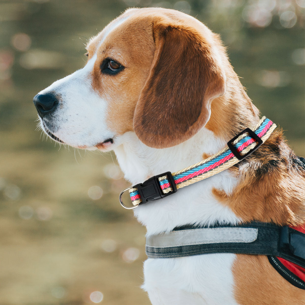 Collar Decorado color Azul con Rosa para Mascota