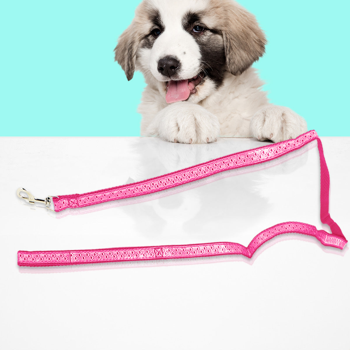 Correa color Fucsia para Perro, 1.30m