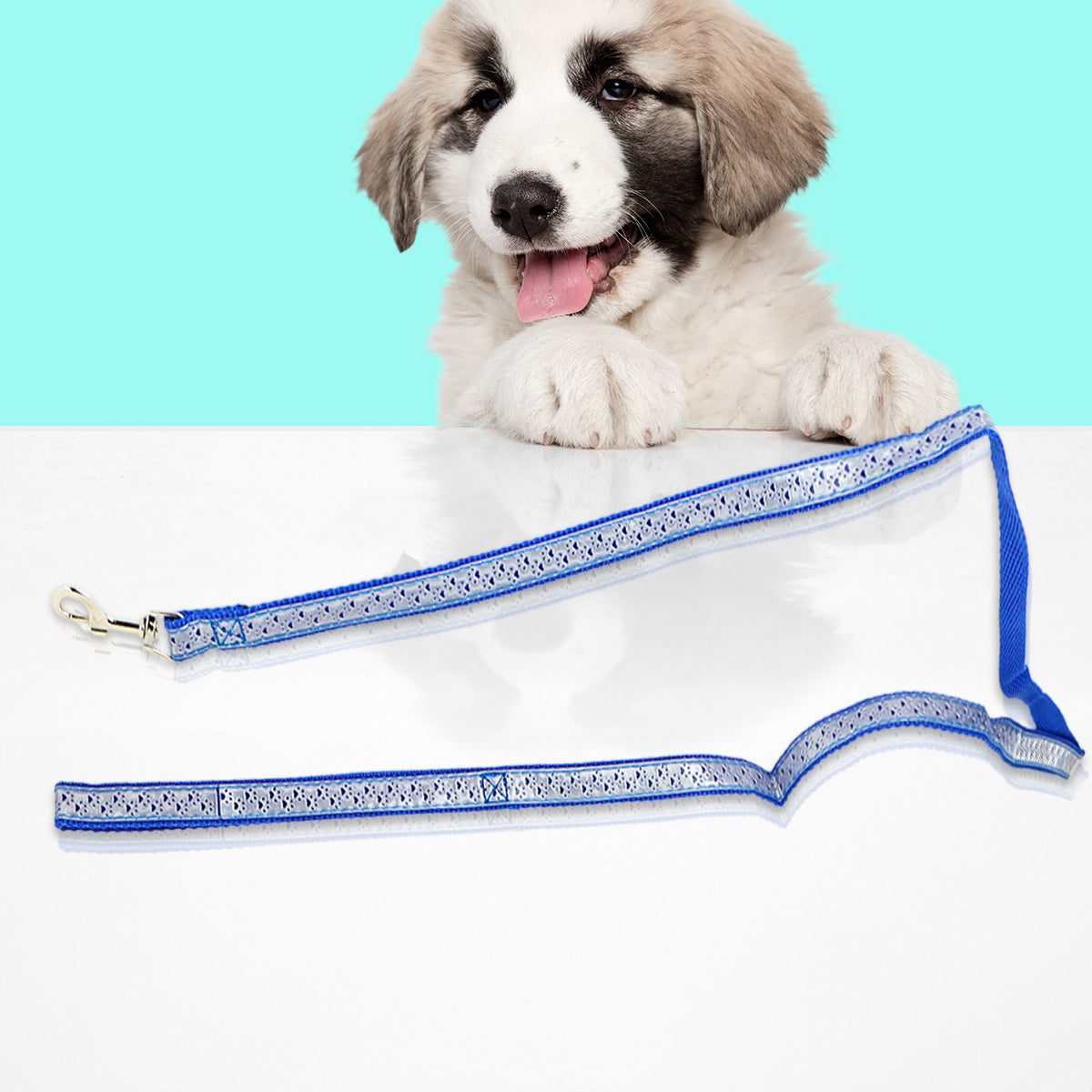 Correa color Azul Rey para Perro, 1.30m