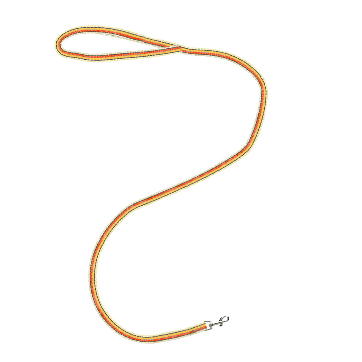 Correa para Mascota de Colores