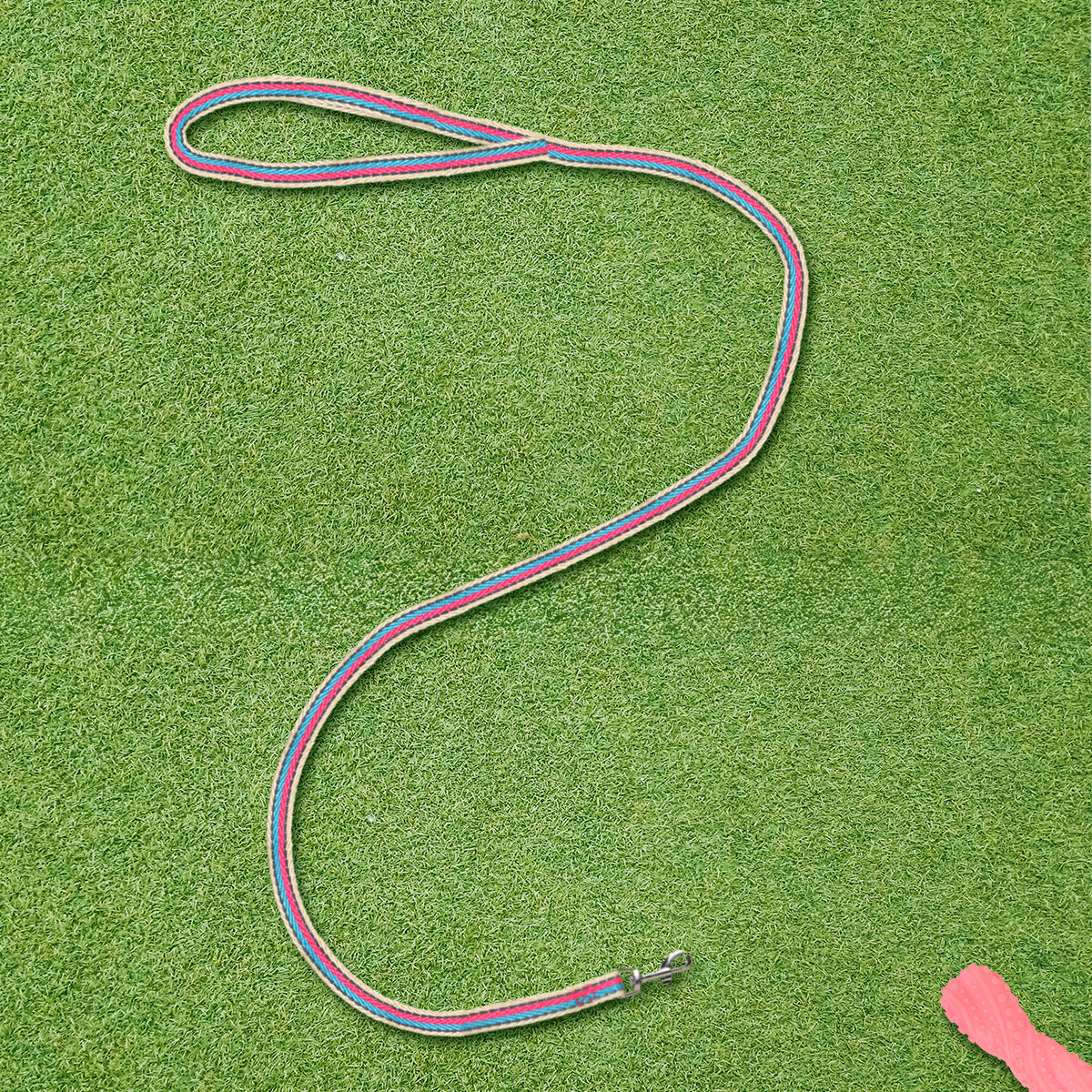 Correa para Mascota, Color Rosa con Azul