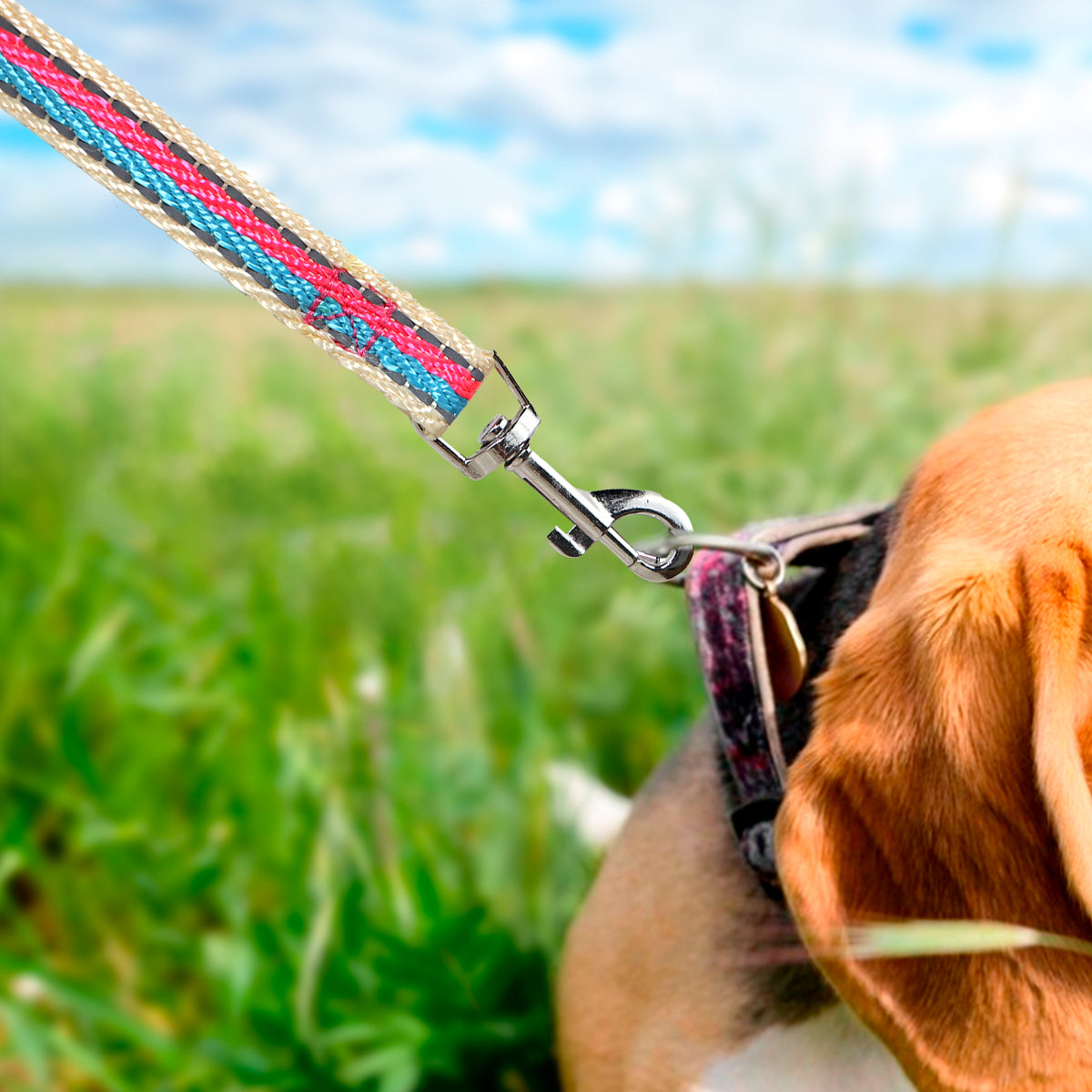 Correa para Mascota, Color Rosa con Azul