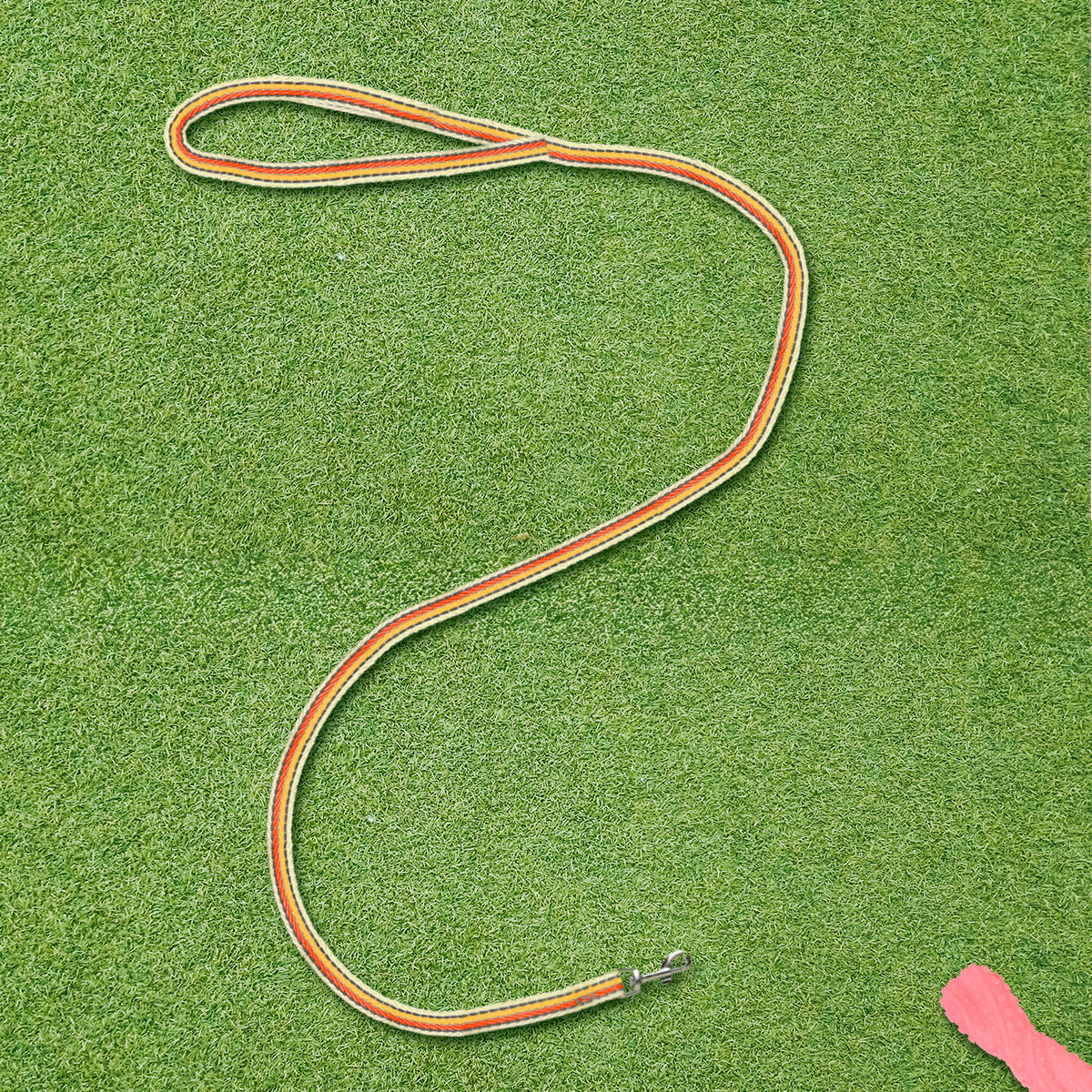 Correa para Mascota de Colores