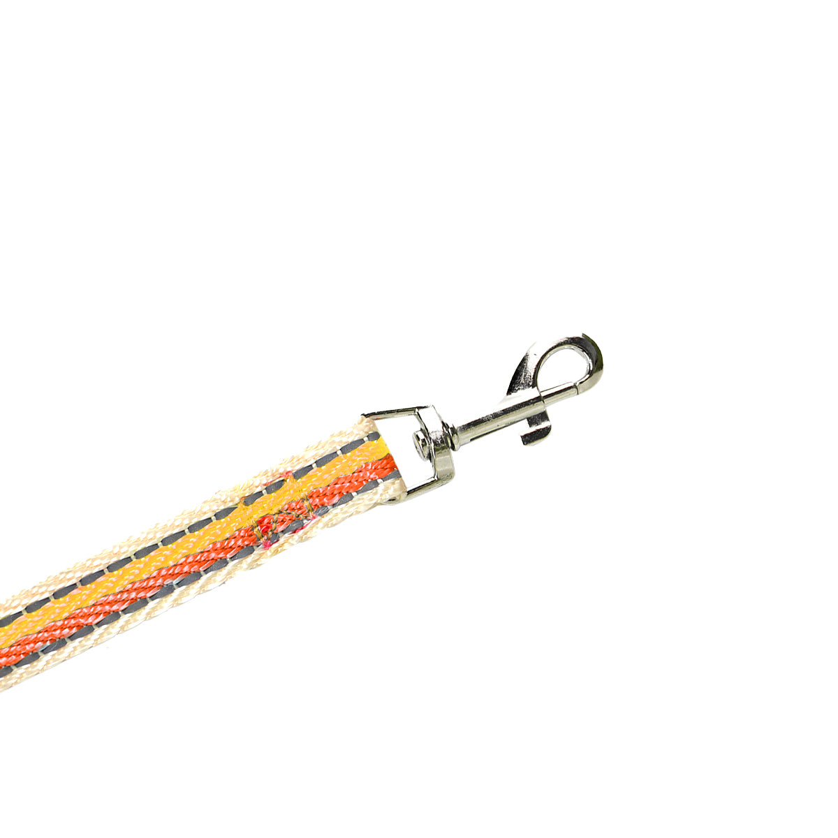 Correa para Mascota de Colores