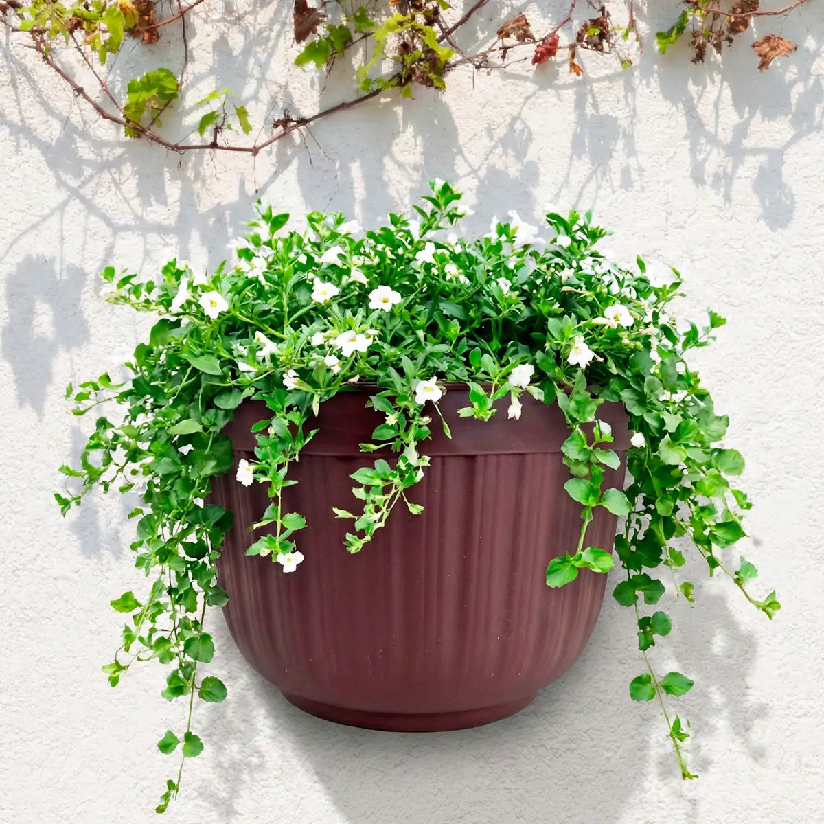 Maceta de Plástico para Pared, Color Café