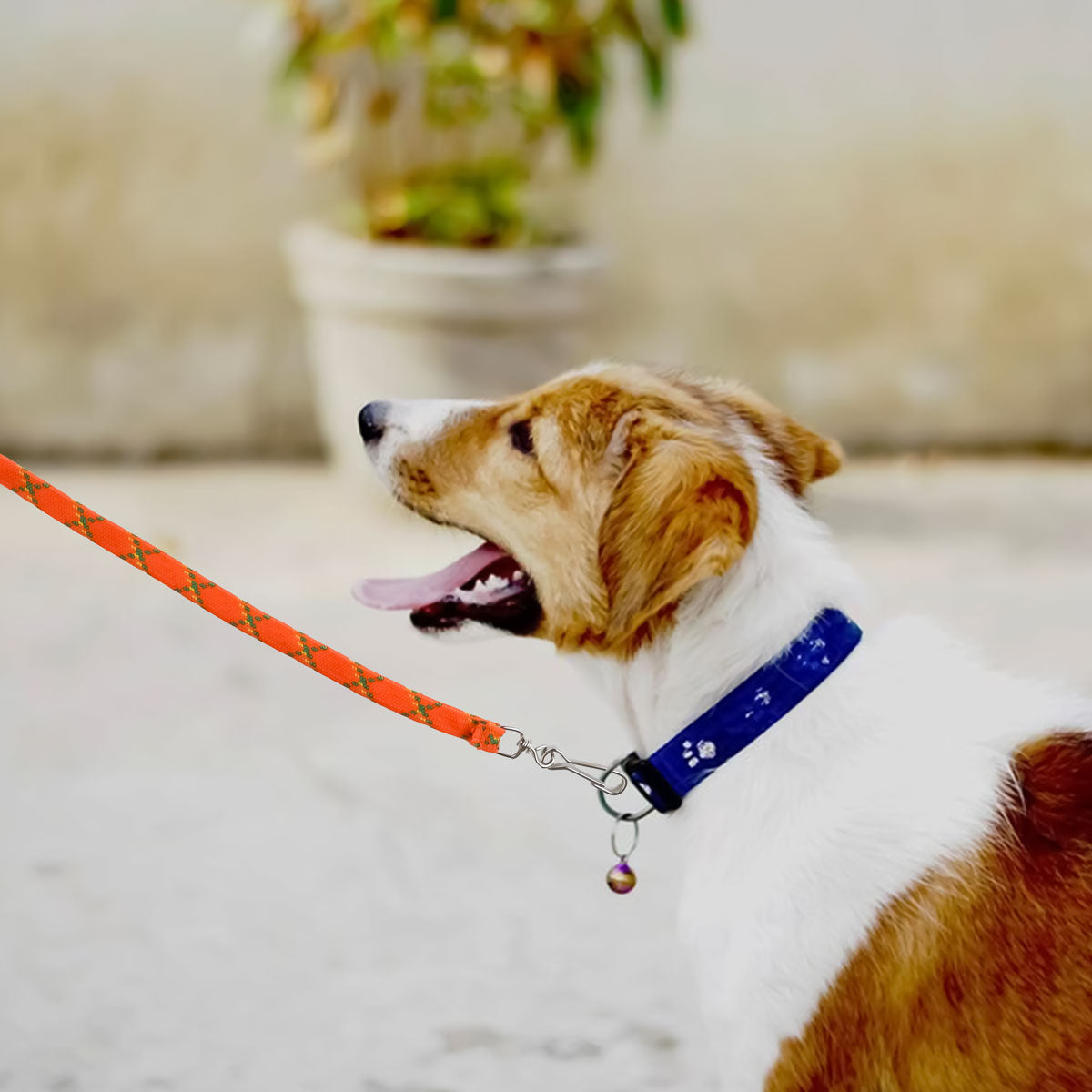 Correa para Mascota Doble Tejido, Color Naranja