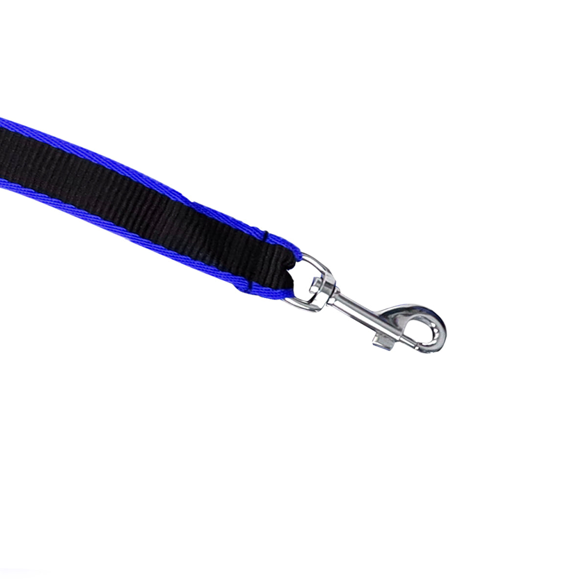 Correa Básica para Mascota, Color Azul y Negro