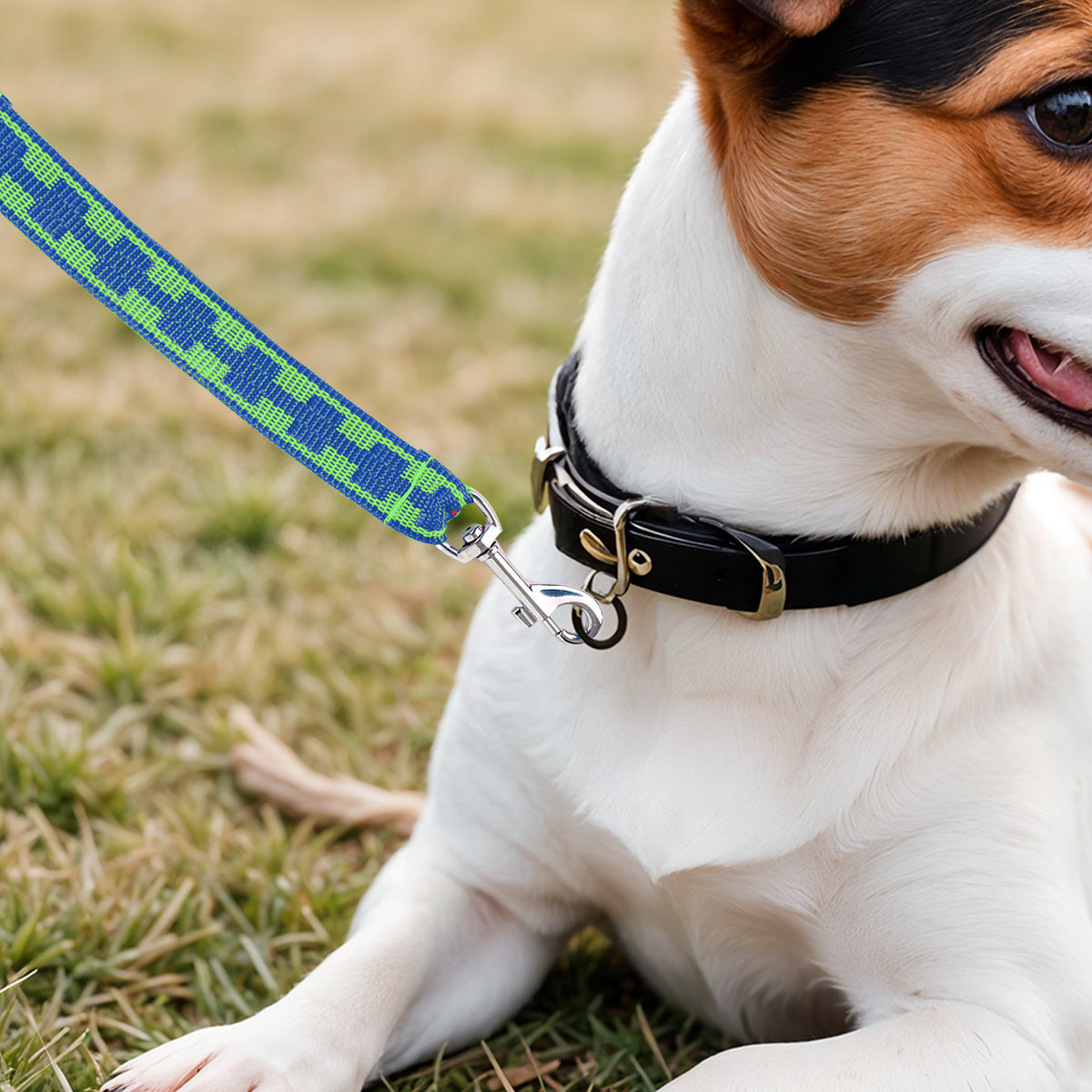 Correa Básica para Mascota, Color Azul
