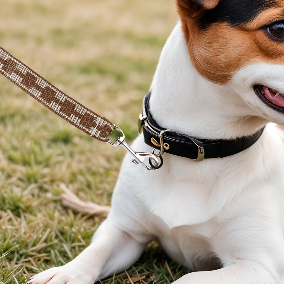 Correa Básica para Mascota, Color Café