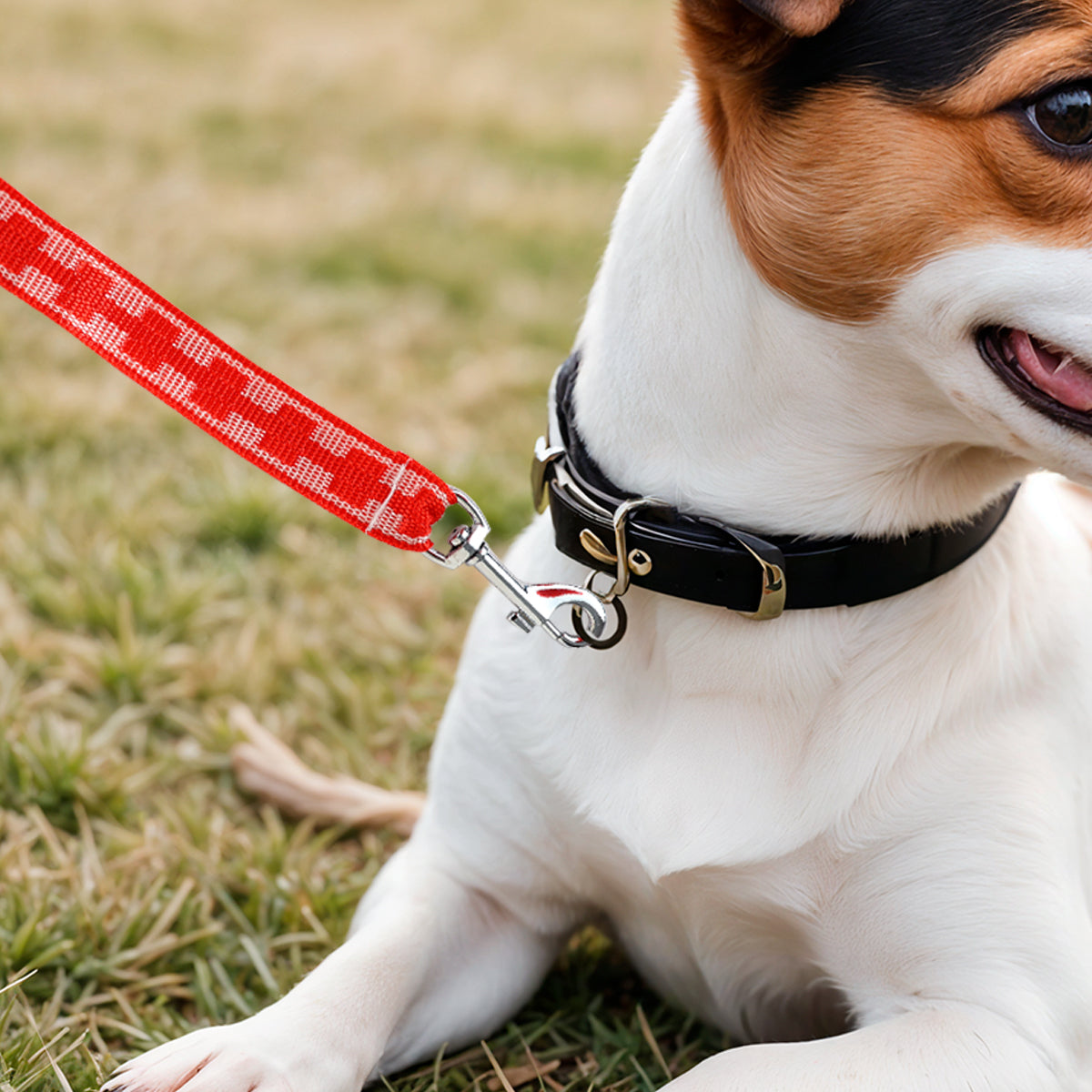 Correa Básica para Mascota, Color Rojo