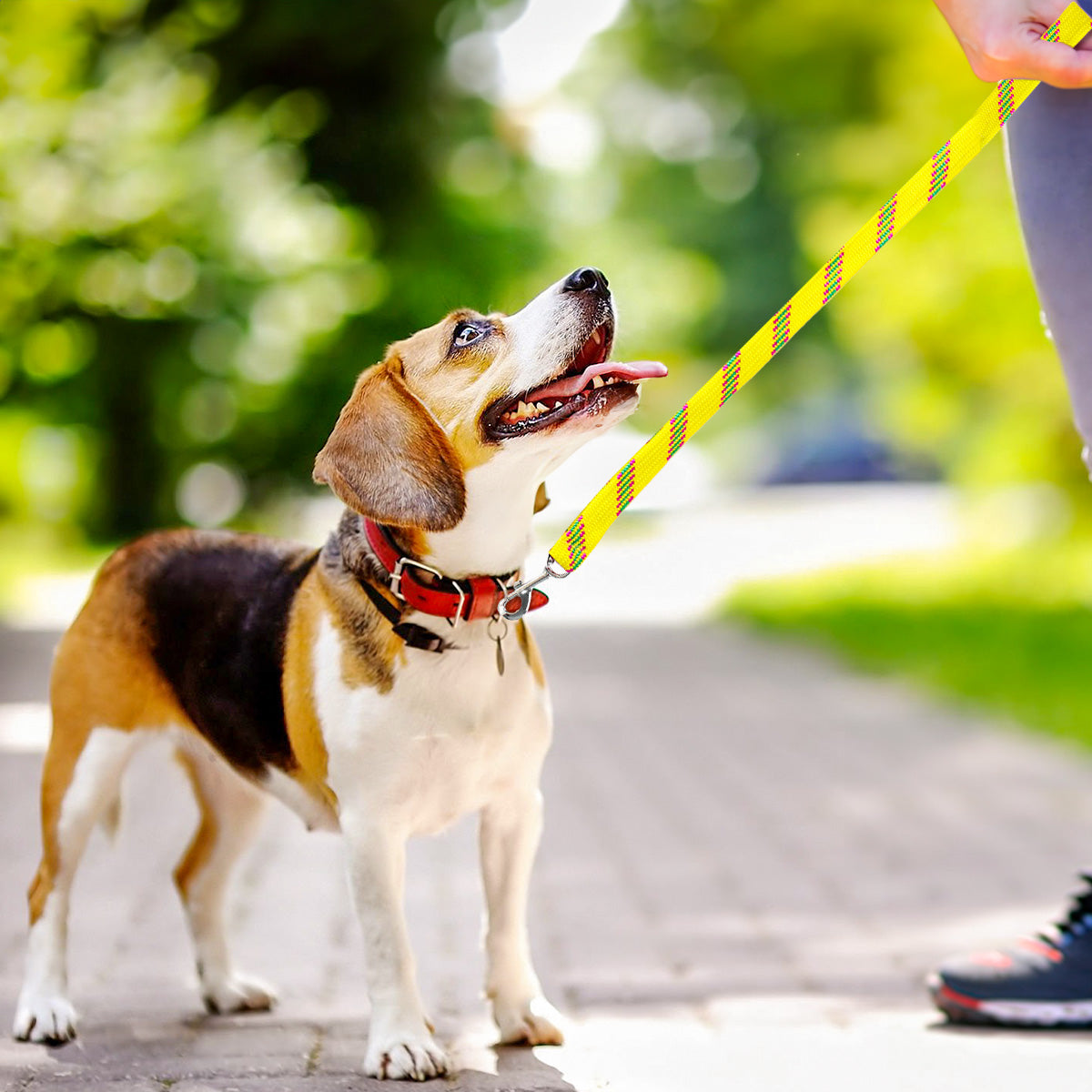 Correa Doble Tejido para Mascota, Color Amarillo