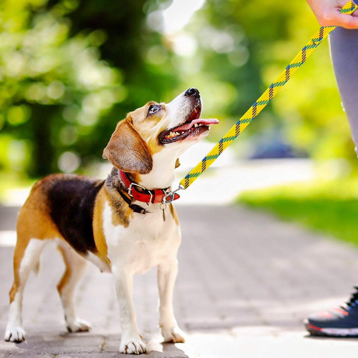 Correa Doble Tejido para Mascota, Color Verde y Amarillo