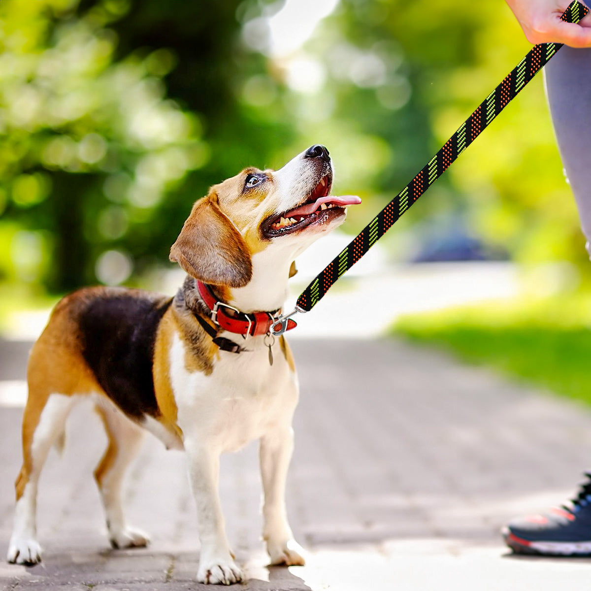 Correa Doble Tejido para Mascota, Color Verde y Naranja