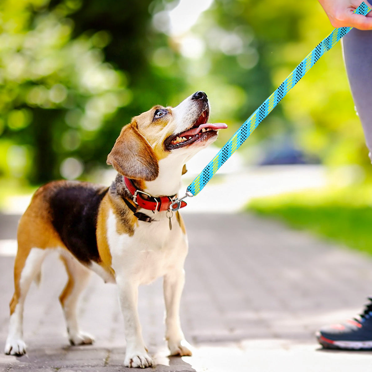 Correa Doble Tejido para Mascota, Color Verde y Azul