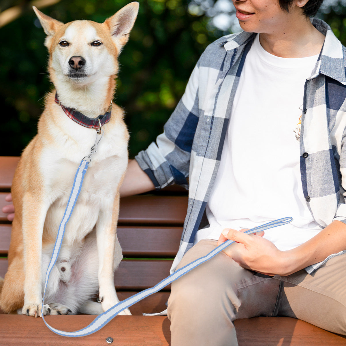 Correa color Blanco con Azul para Perro