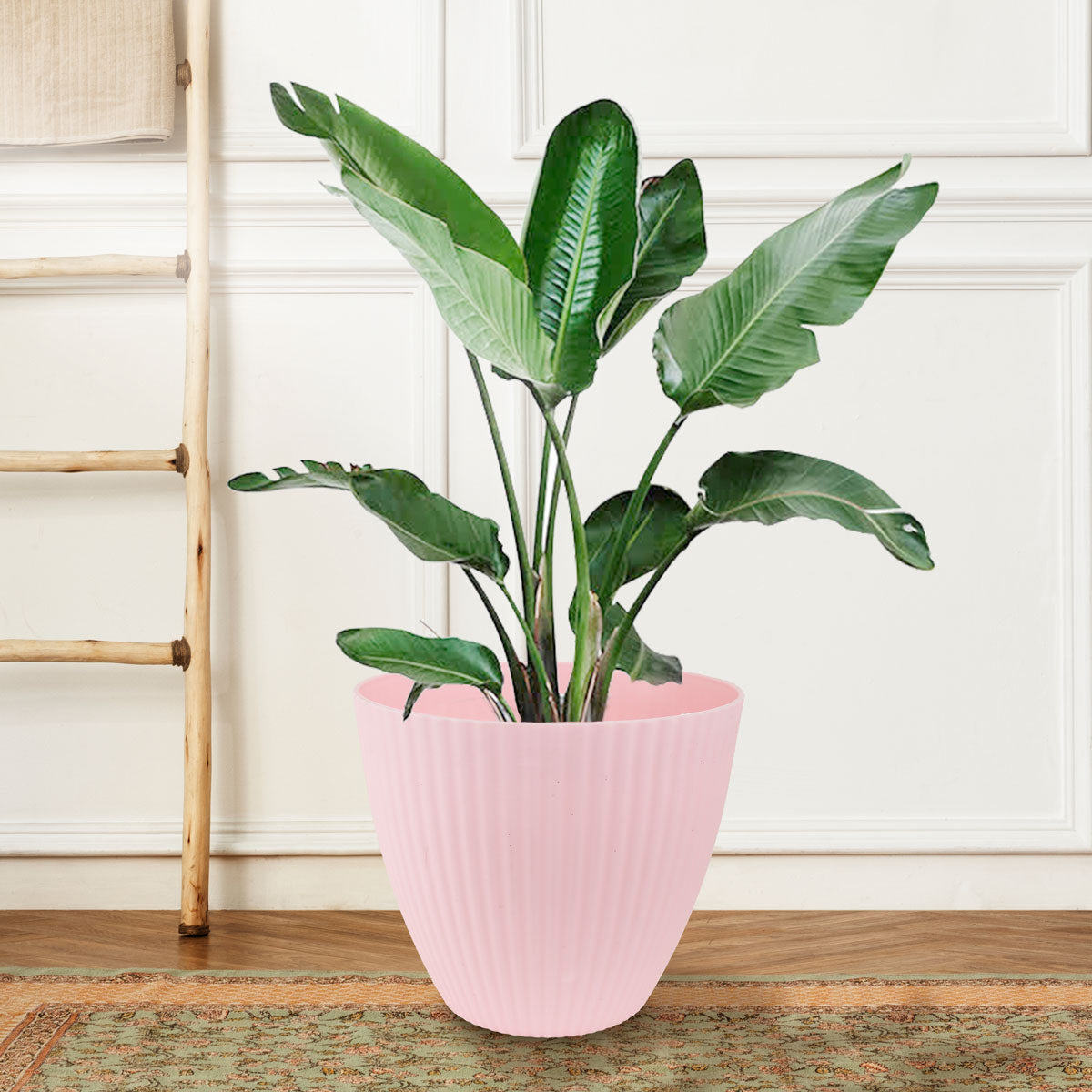 Maceta de Plástico color Rosa, 17x14cm