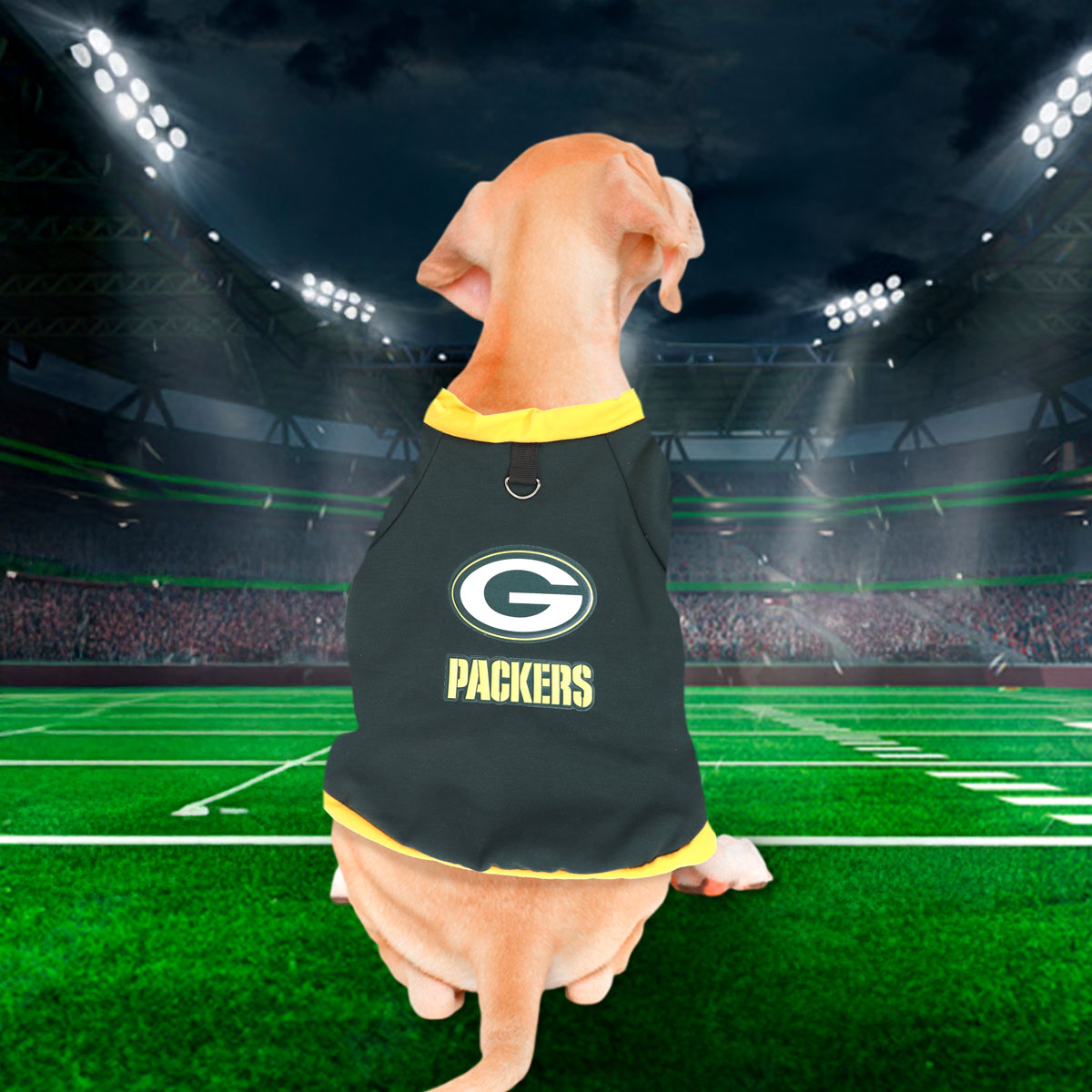 Sudadera color Verde de los Packers para Perro