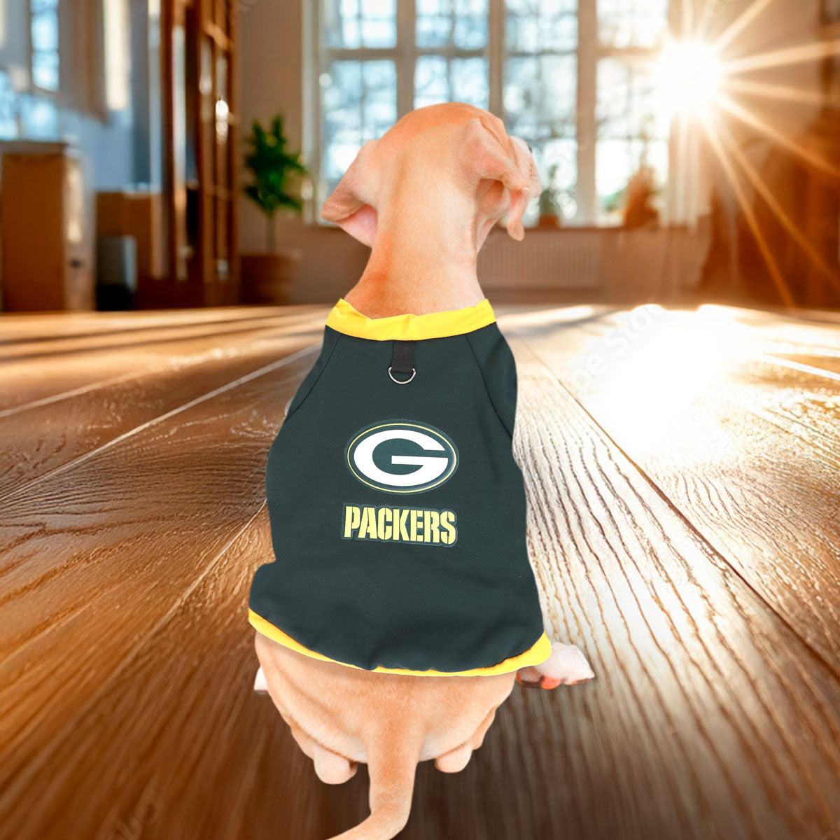 Sudadera color Verde de los Packers para Perro