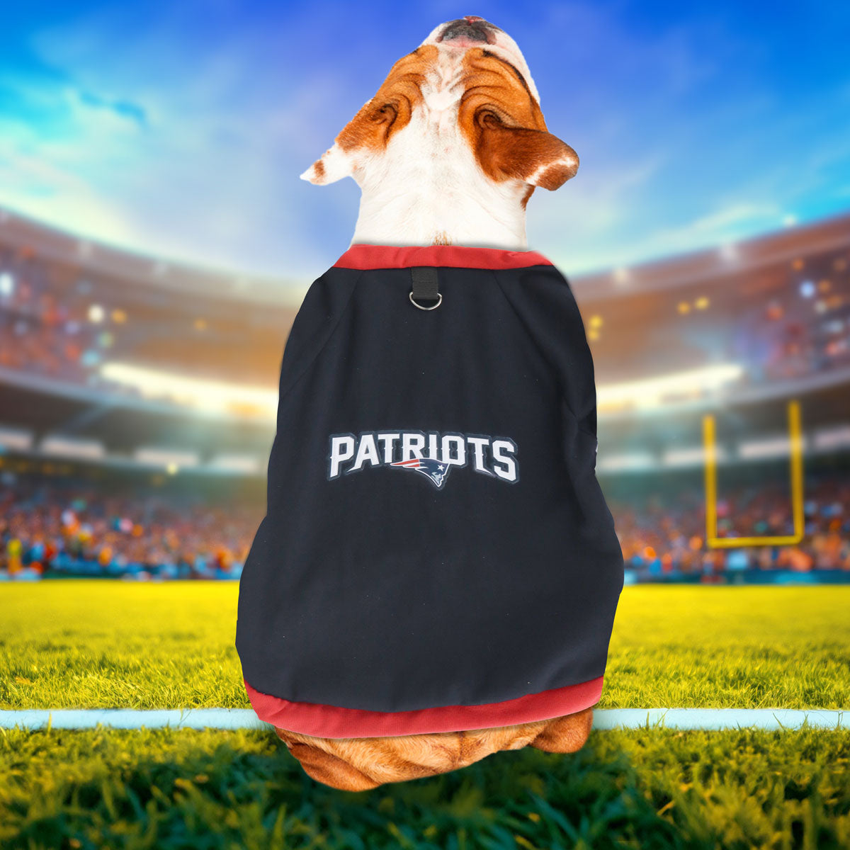 Sudadera de los Patriots color Azul Marino para Perro