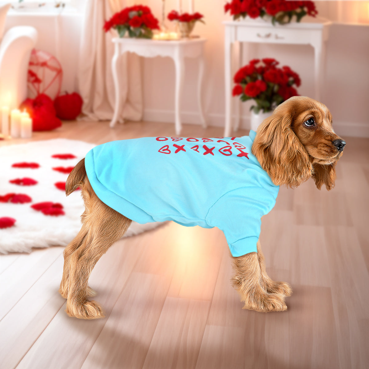 Playera para Mascota XOXO, color Aqua