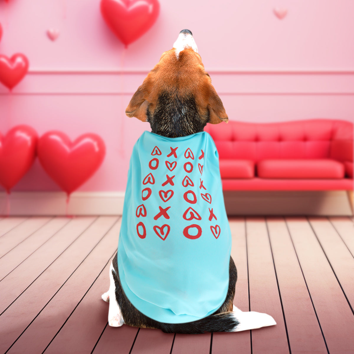 Playera para Mascota XOXO, color Aqua