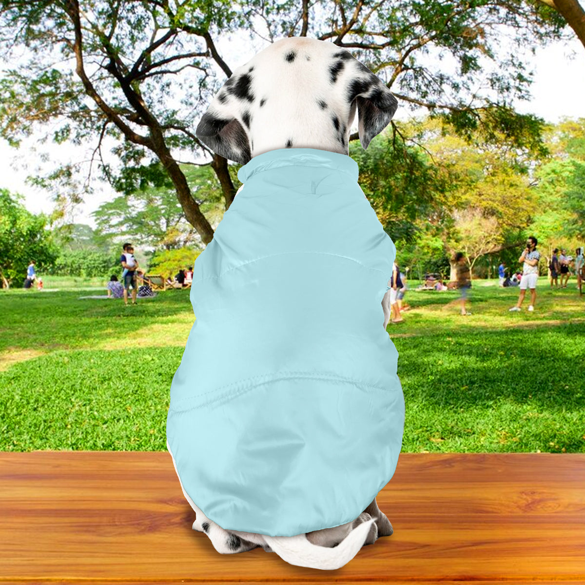 Chaleco para Mascotas, Talla M, Color Aqua