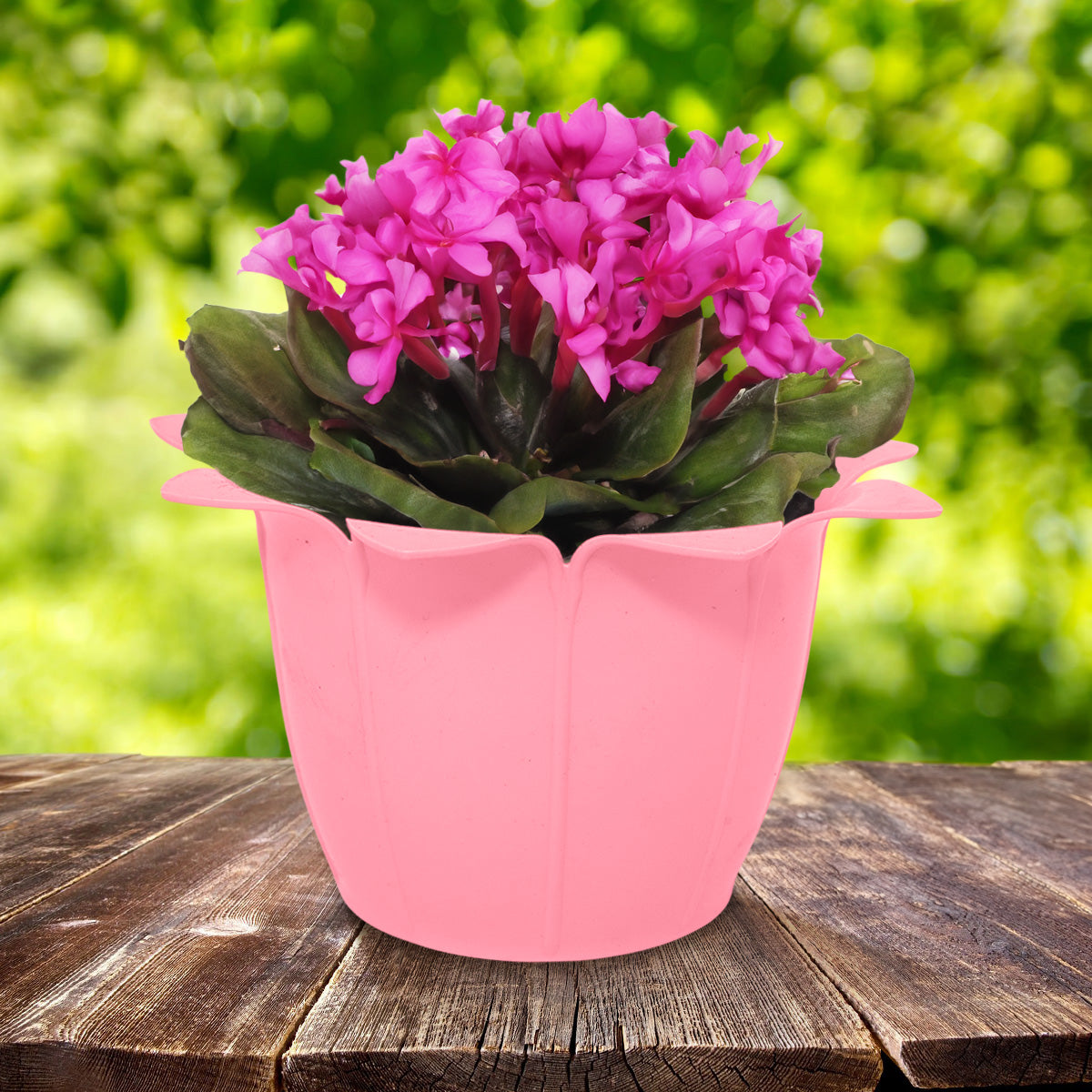 Maceta Diseño Flor de Plástico, color Rosa